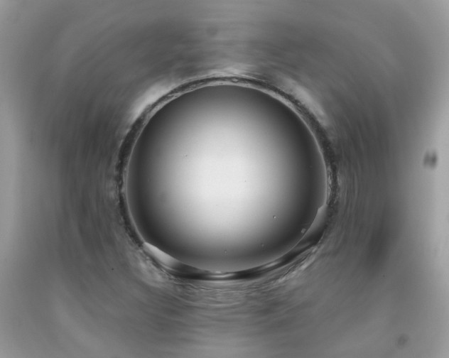 X0000091931308200709051453