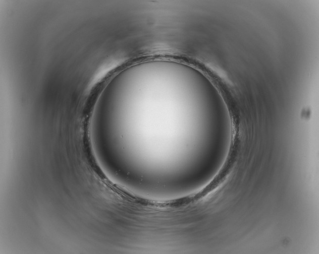 X0000091931309200709051453