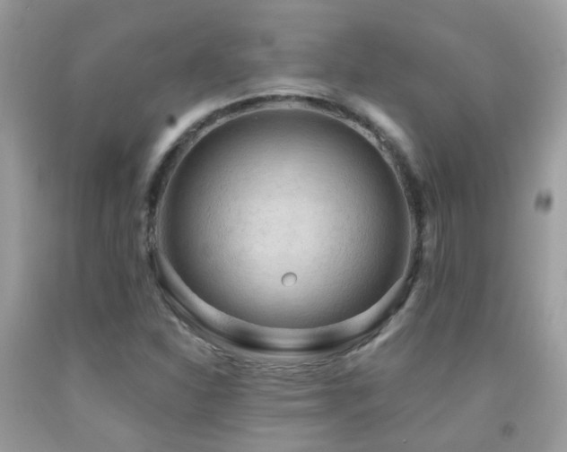 X0000091931310200709051453