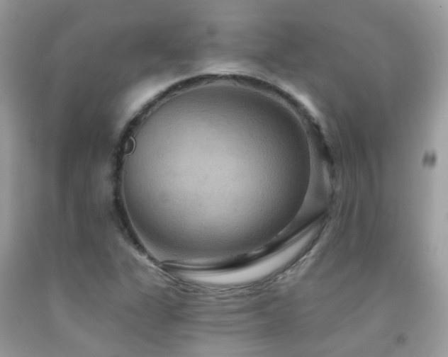 X0000091931311200709051453