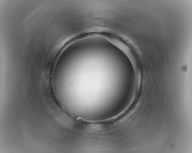 X0000091931313200709051453