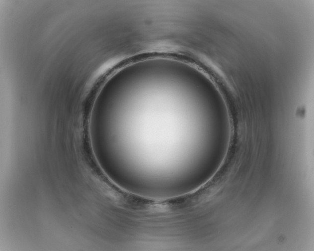 X0000091931315200709051453
