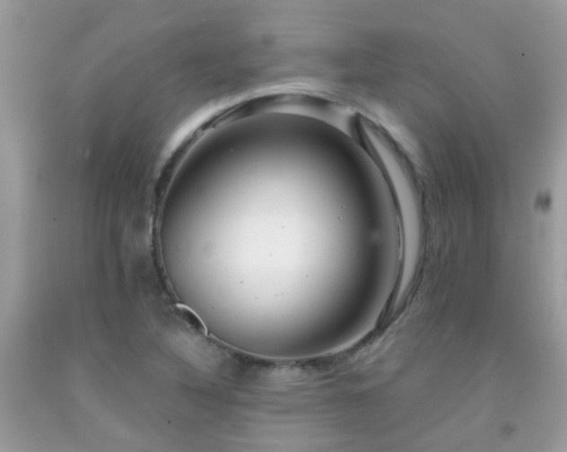 X0000091931316200709051453
