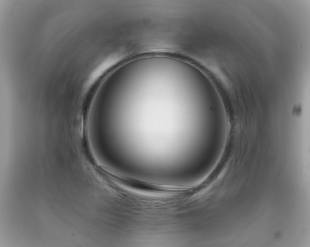 X0000091931317200709051453