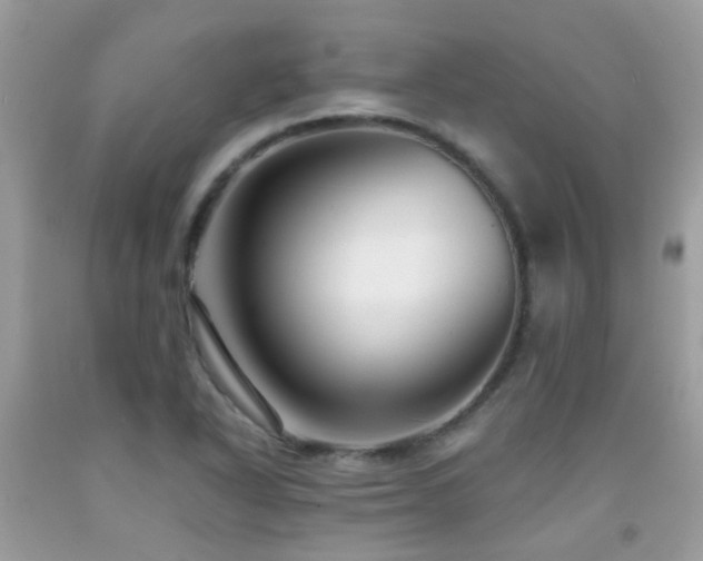 X0000091931318200709051453