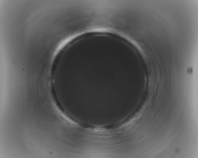 X0000091931319200709051453