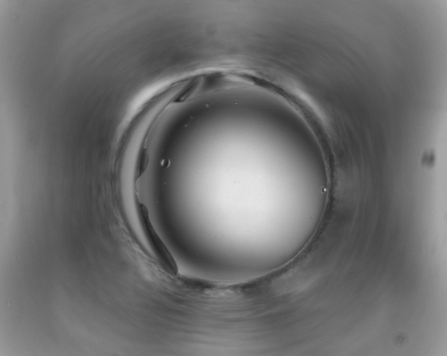 X0000091931320200709051453