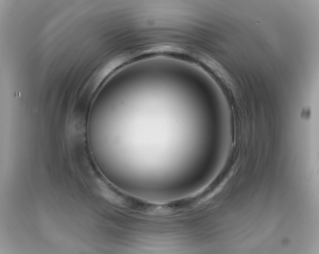 X0000091931321200709051453
