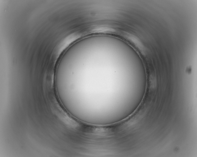 X0000091931322200709051453
