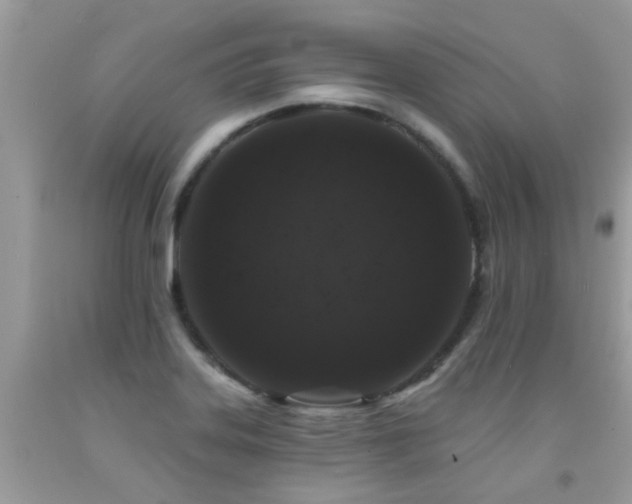X0000091931323200709051453