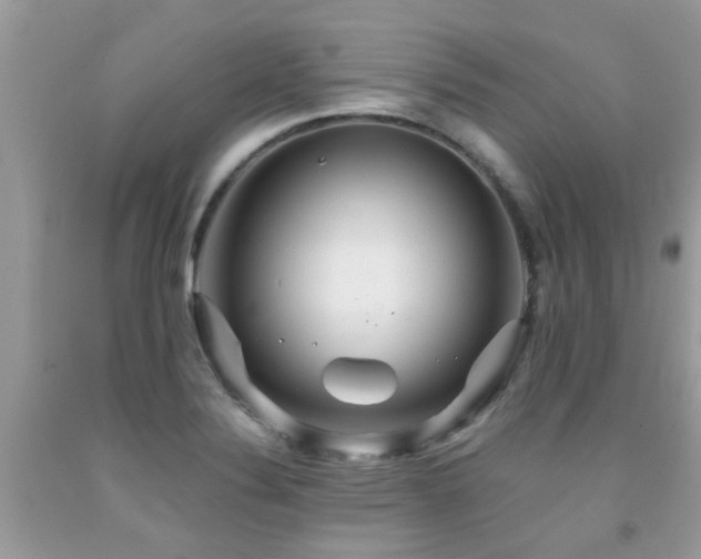 X0000091931324200709051453