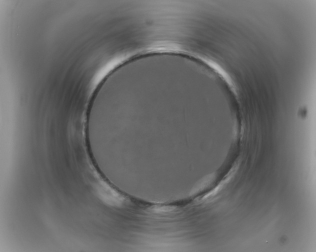 X0000091931325200709051453