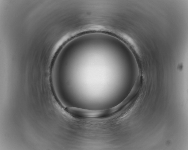 X0000091931326200709051453