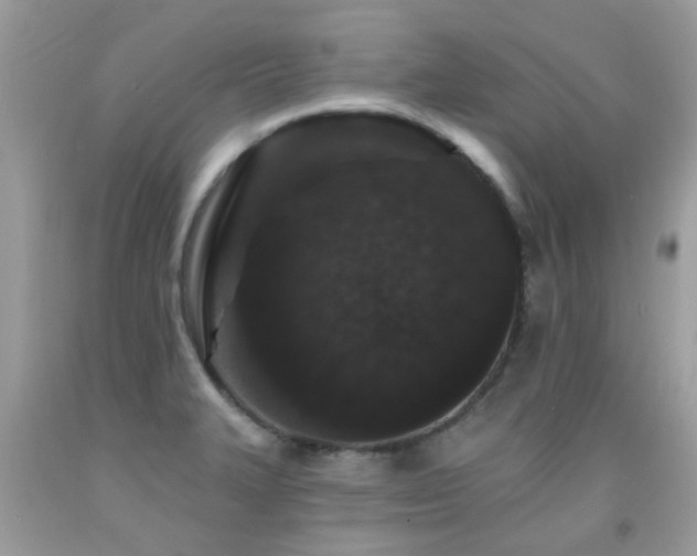 X0000091931327200709051453