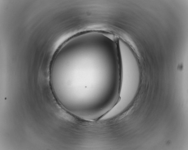 X0000091931328200709051453