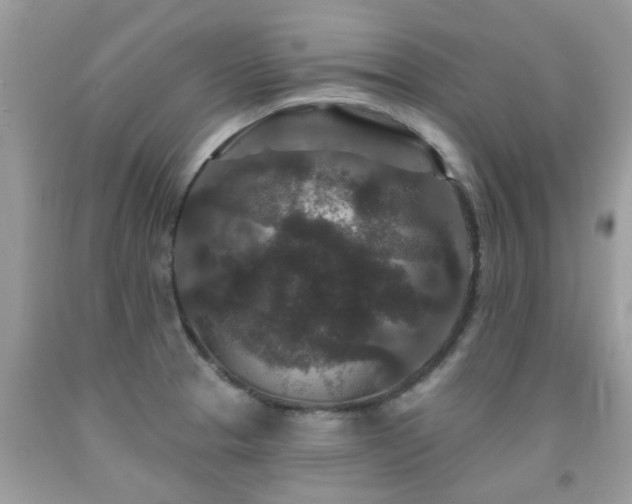 X0000091931329200709051453
