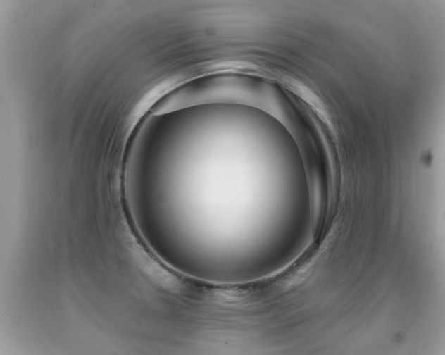 X0000091931330200709051453