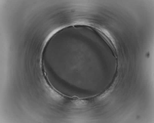 X0000091931331200709051453