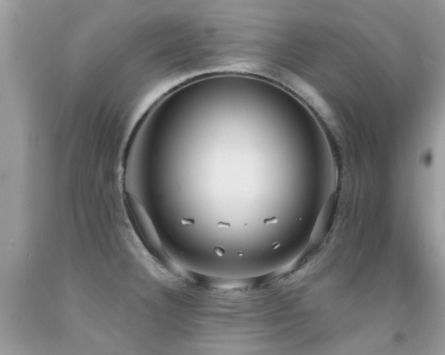 X0000091931332200709051453