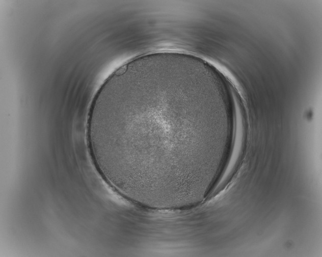 X0000091931333200709051453