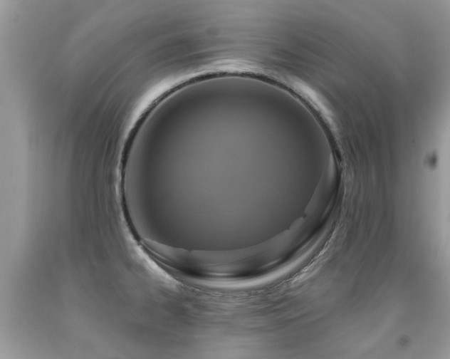 X0000091931334200709051453