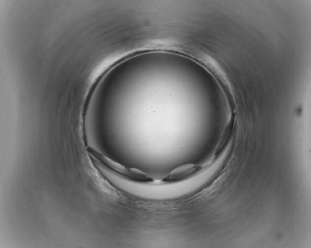 X0000091931336200709051453