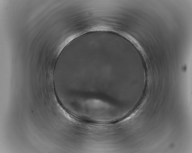 X0000091931337200709051453