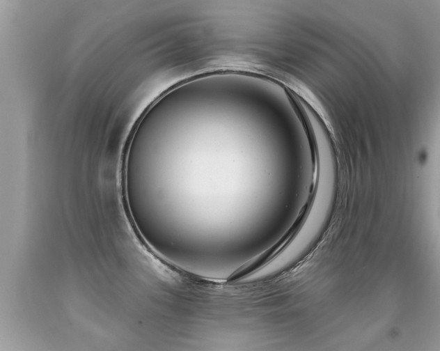 X0000091931339200709051453