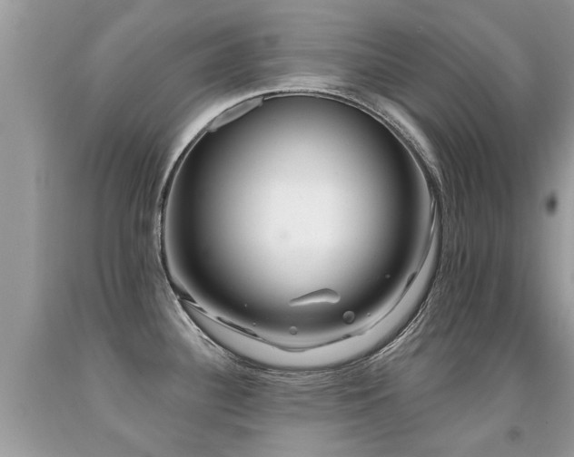 X0000091931340200709051453