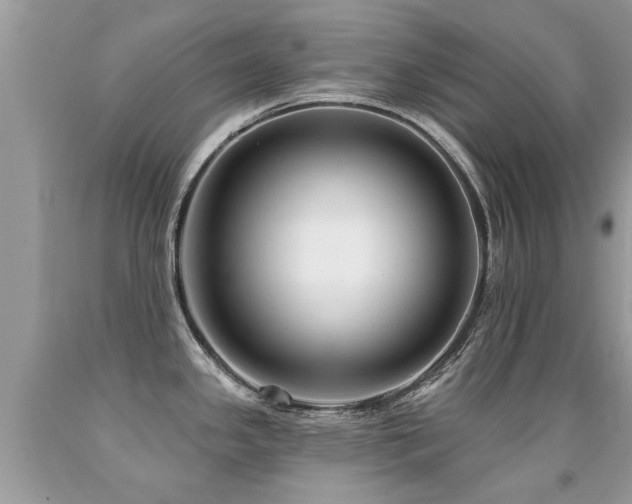 X0000091931341200709051453