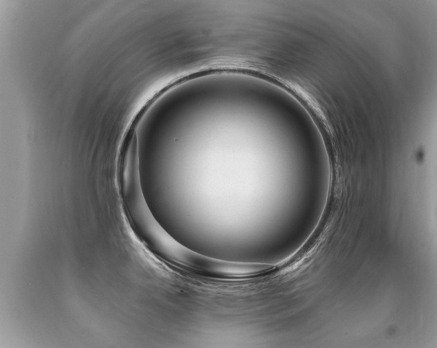 X0000091931342200709051453