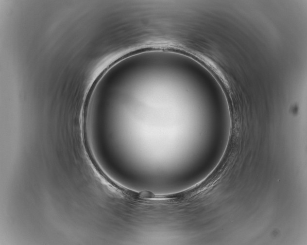 X0000091931343200709051453