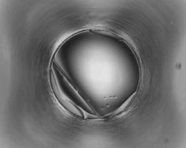 X0000091931344200709051453