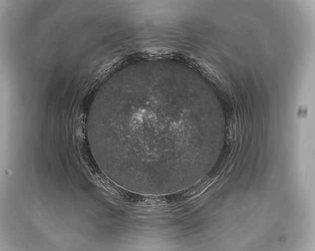 X0000091931346200709051453