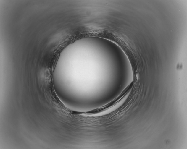 X0000091931347200709051453