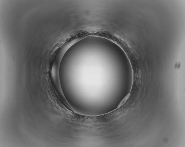 X0000091931349200709051453