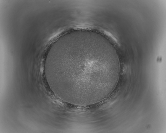 X0000091931350200709051453
