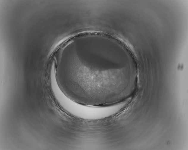 X0000091931352200709051453