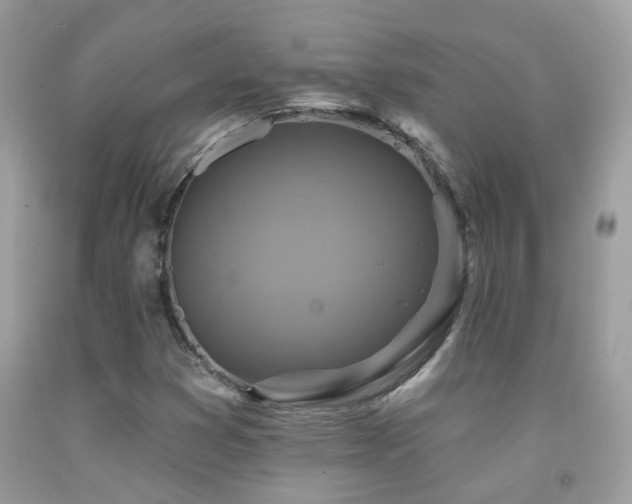 X0000091931353200709051453