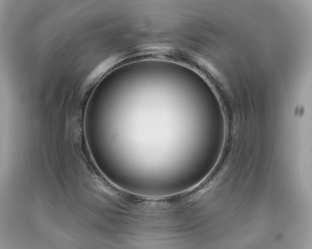 X0000091931354200709051453