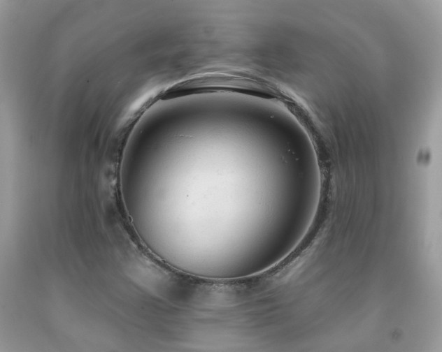 X0000091931355200709051453