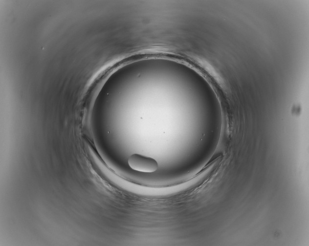 X0000091931356200709051453
