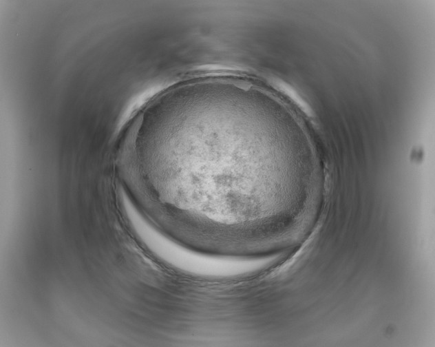 X0000091931357200709051453