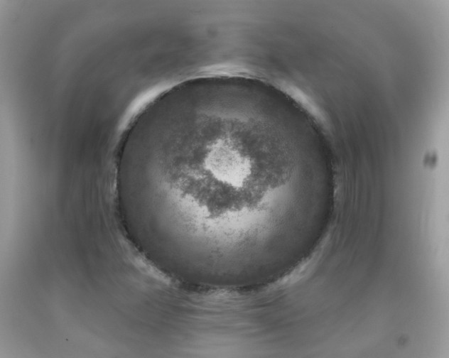 X0000091931358200709051453