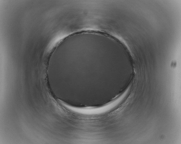 X0000091931359200709051453