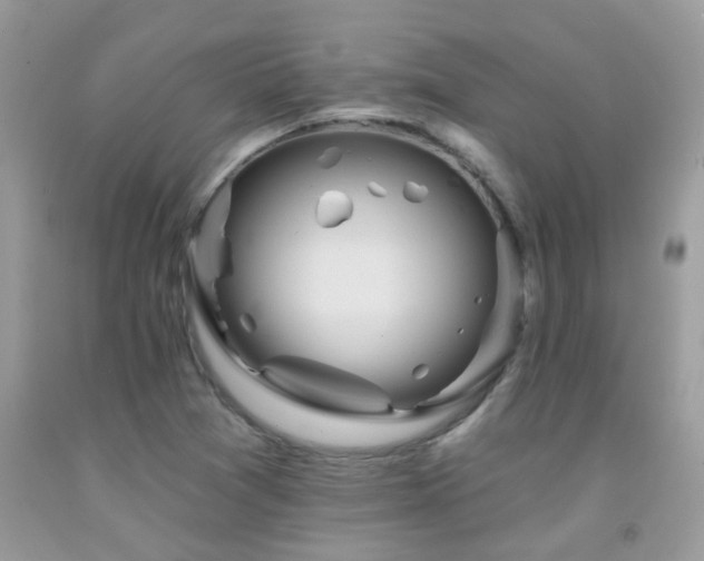 X0000091931361200709051453