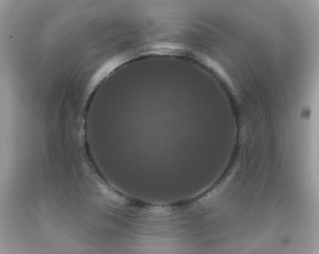 X0000091931362200709051453