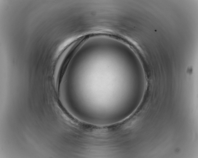 X0000091931363200709051453