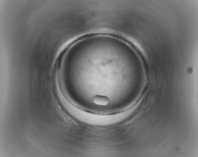 X0000091931364200709051452