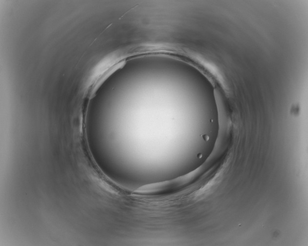 X0000091931365200709051452